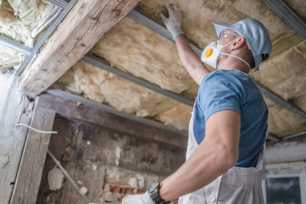 Best Blown-in Insulation in Saucier, MS