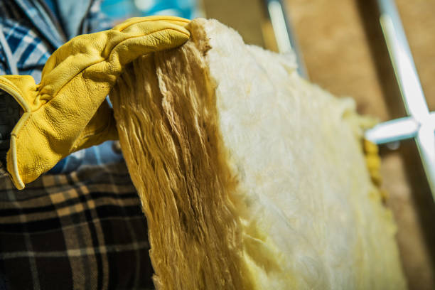 Best Spray Foam Insulation in Saucier, MS