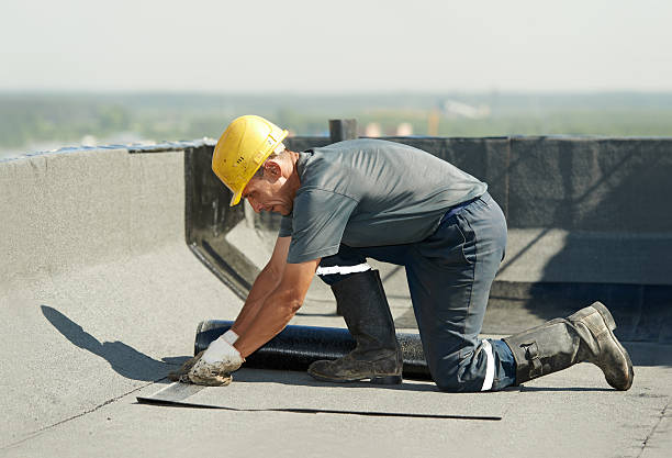 Best Specialized Insulation Services in Saucier, MS