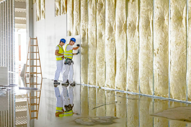 Types of Insulation We Offer in Saucier, MS